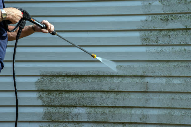 Best Gutter Cleaning and Brightening in Flatonia, TX